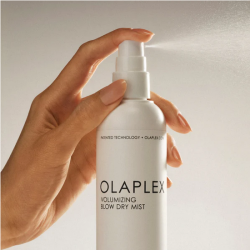Screenshot 2025-05-28 at 18-46-48 VOLUMIZING BLOW DRY MIST